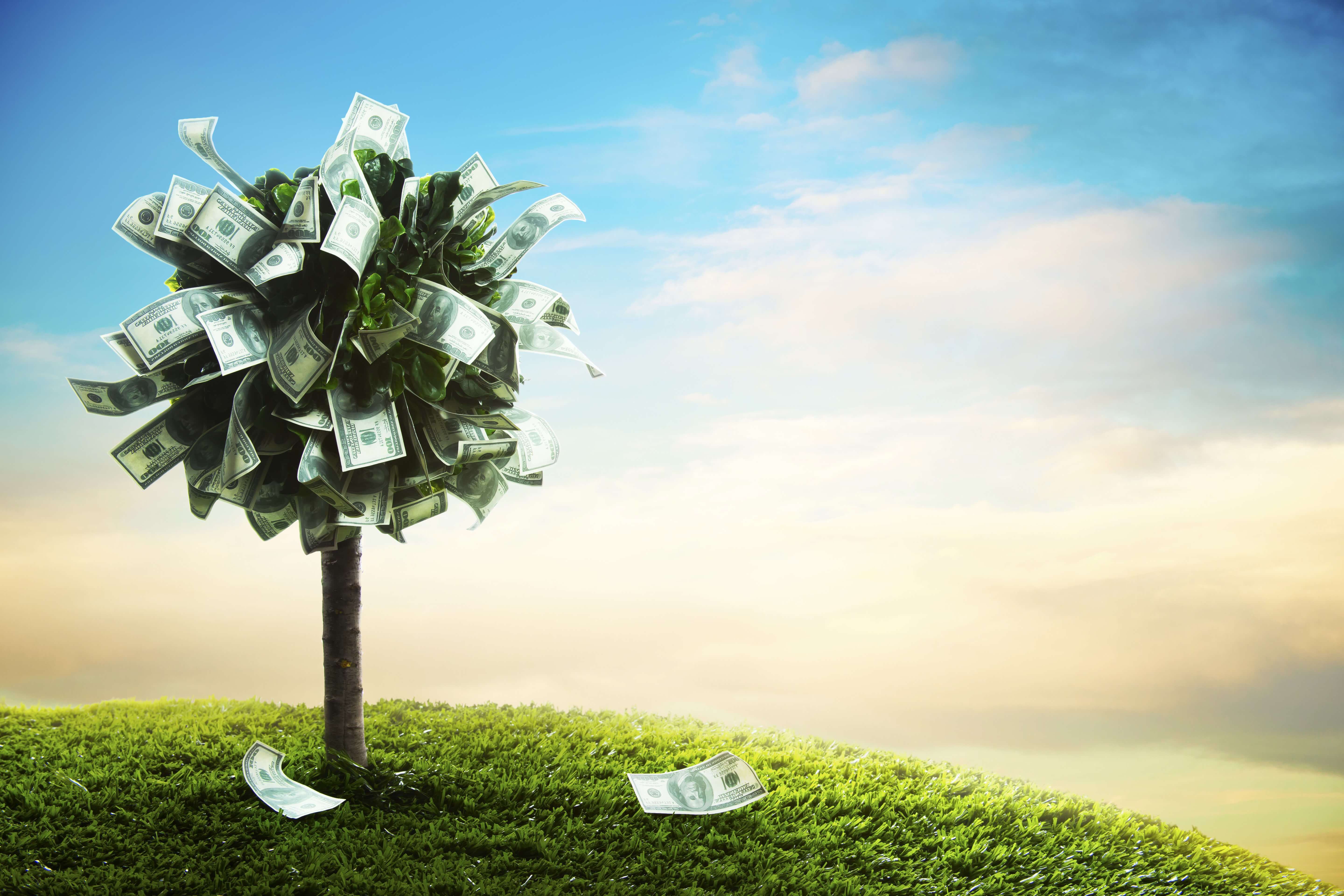 Certificates of Deposit & IRAs Accent Photo